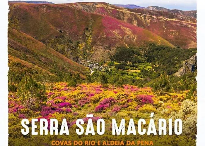 Terraco D'aldeia *